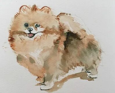 Рисунок шпица