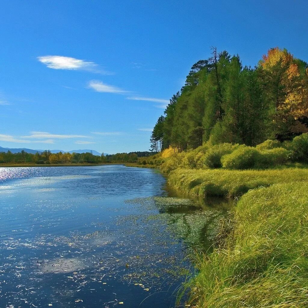 Природа река. Река фото. Берег реки. Реки России. Лето река фото