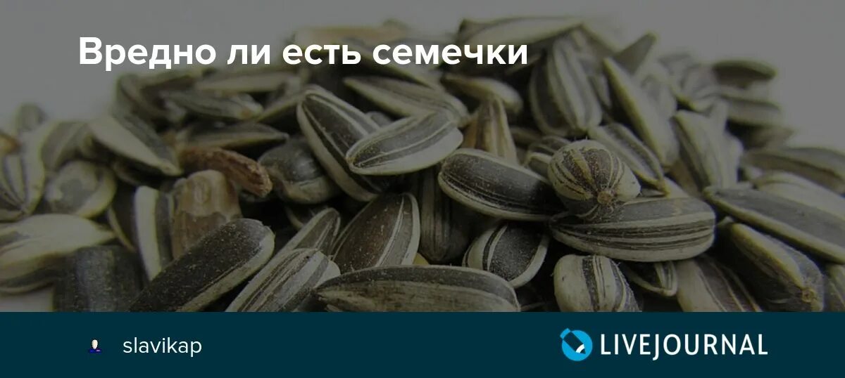 Вредны ли семечки. Полезные семена. Кушать семечки. Поправляешься от семян подсолнечника.