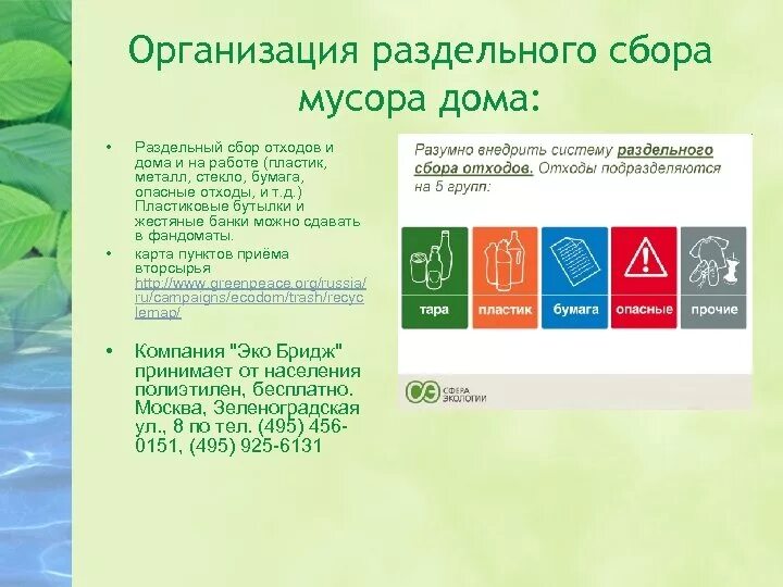 Организация раздельного сбора отходов. Организация сбора пластика. Организации раздельного сбора