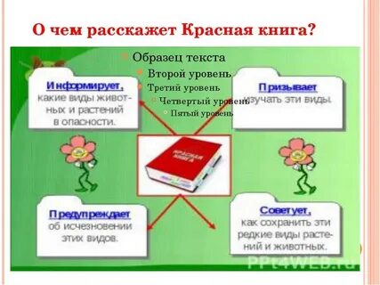 Как сделать красную книгу 2 класс
