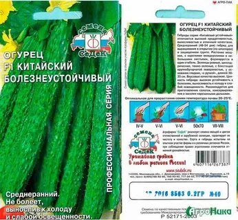 Лучшие сорта китайского огурца