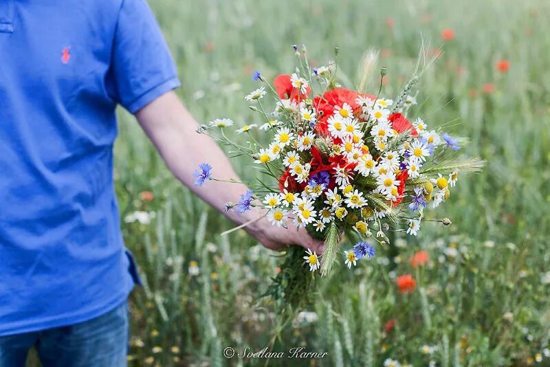 полевые цветы я тебе неровнюшка 20. луга с ромашками и клевером. букет с полевыми цветами. ромашки и васильки. полевые цветы я тебе неровнюшка 20.