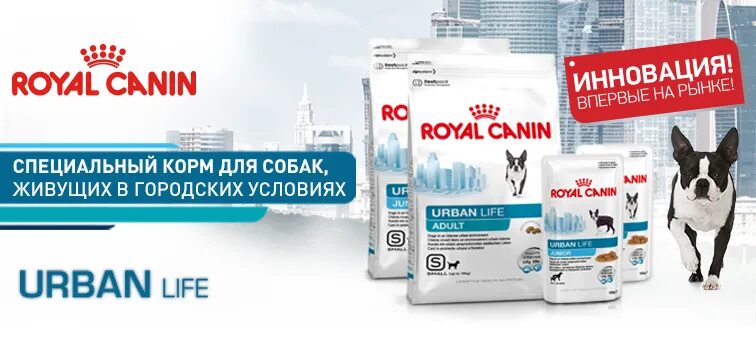 Урбан лайф пермь. Royal canin для собак реклама. роял канин для щенков реклама. урбан лайф. новинка от роял канин.