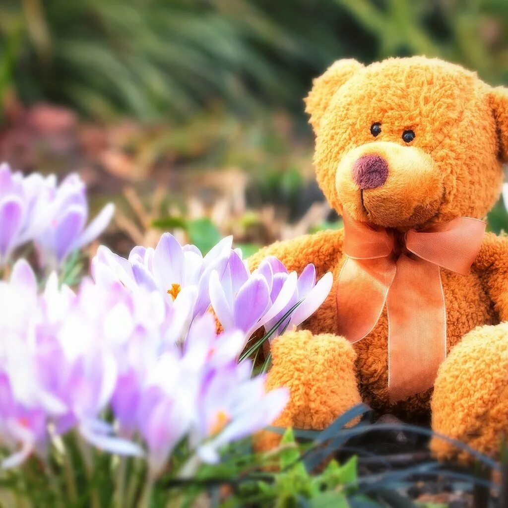 Мишка и цветы. Медвежонок с цветами. Плюшевый мишка с цветами. Медвежонок весной.