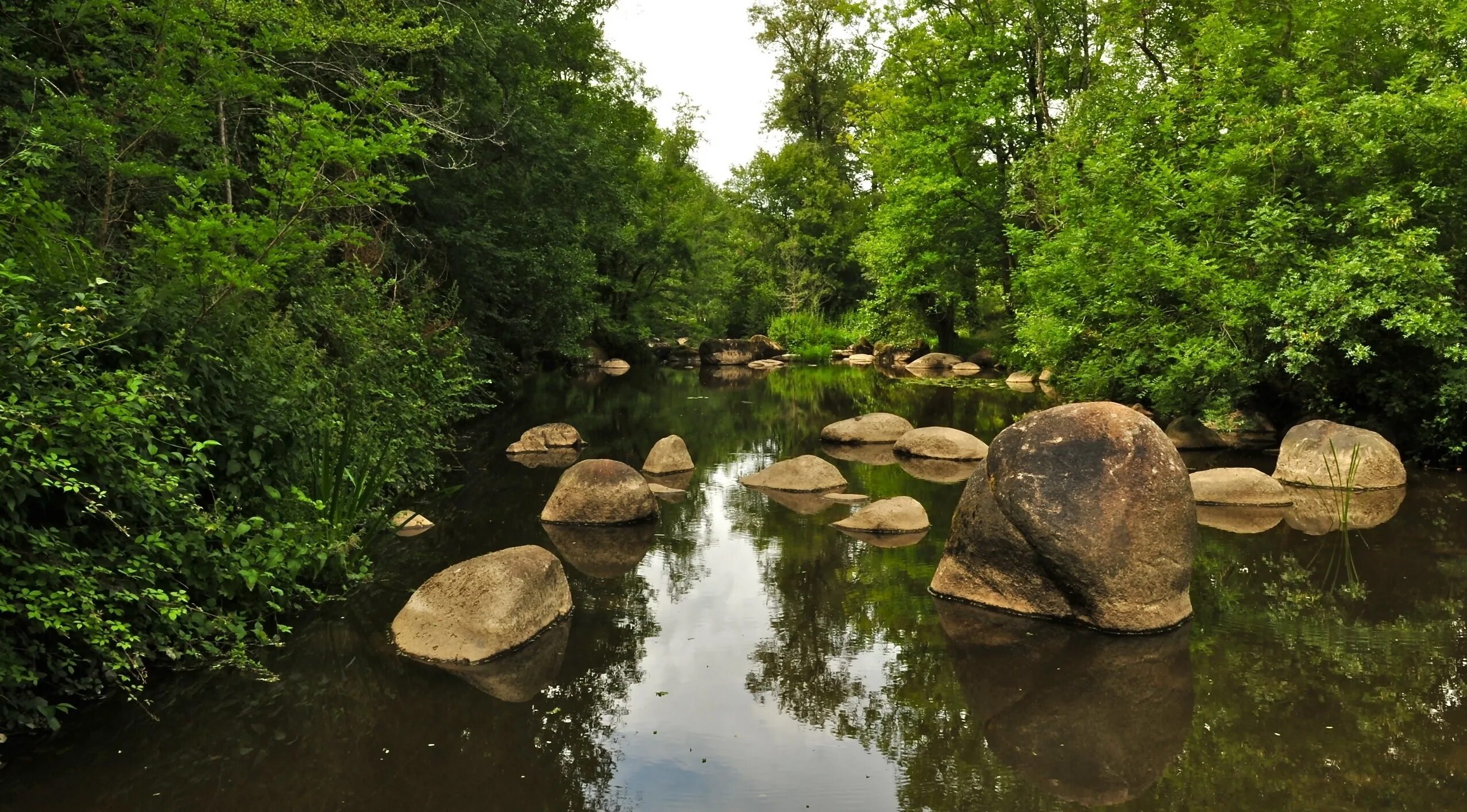 Stone river