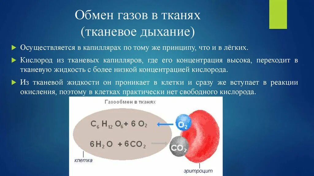 Углекислый газ вода углевод кислород. Обмен газов в тканях. Газообмен в органах и тканях. Обмен газов в крови. Причина газообмена в тканях.