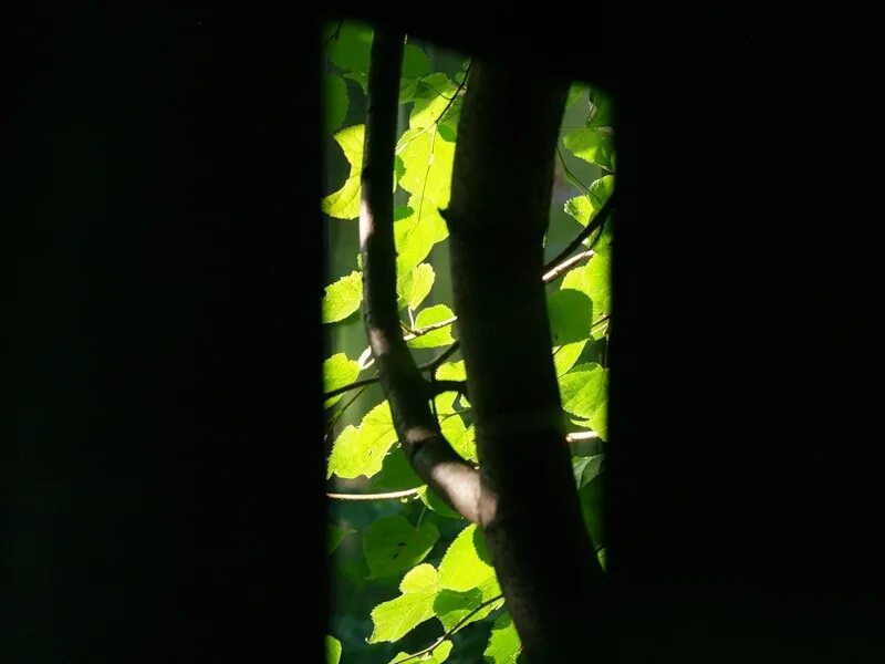 Глаз в замочной скважине. Сквозь щель. Сквозь щель. Щель в двери. Глаз в заборе.