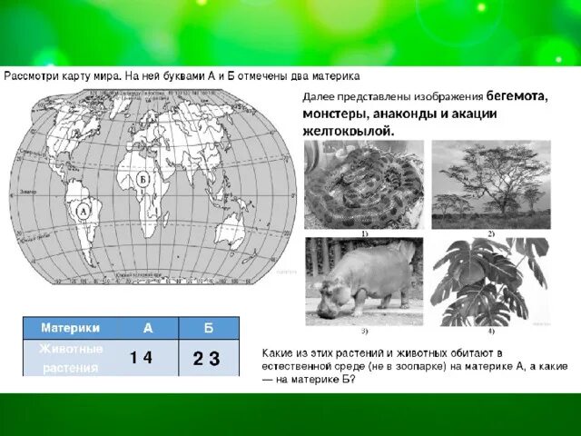 Впр 7 класс география южные материки. Материки на карте ВПР. Карта материков ВПР.