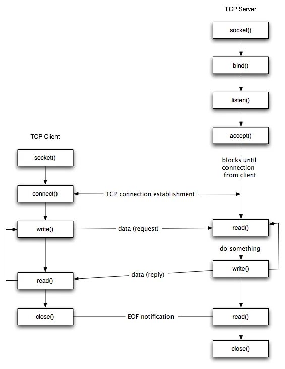 Последовательность работы серверного сокета TCP:. TCP сервер клиент схема. TCP Socket схема. TCP udp клиент сервер. Accept method