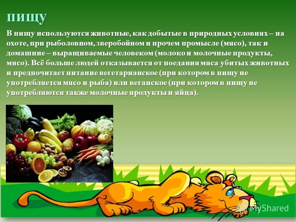 Продукты растениеводство используемые в пищу. Продукты растениеводства в пищу. Сельскохозяйственные культуры. Продукты растениеводства к пище. Овощи в питании человека.
