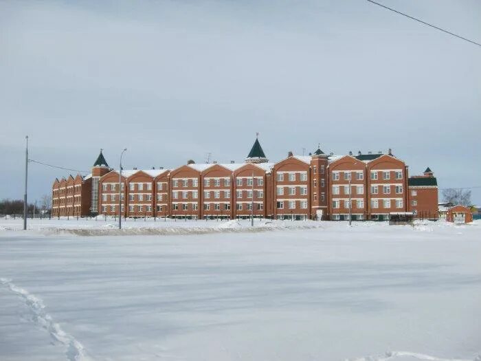 Гимназия 1 бронницы. Бронницы гимназия имени пушкина 1. Гимназия 1 бронницы. Гимназия пушкина бронницы. Александр александрович пушкин бронницы.