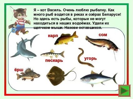Сколько рыбы в волге