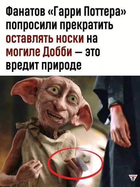 Почему не спасли добби. Могила добби.