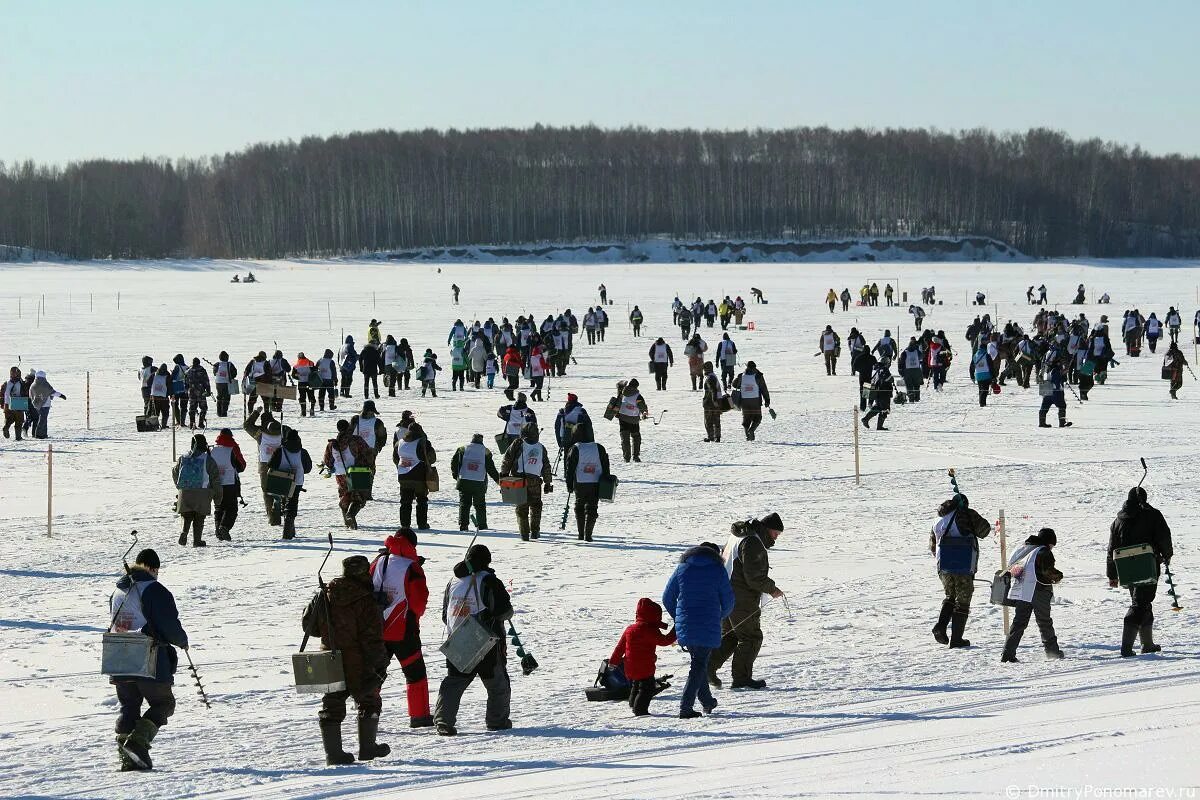 Ловлю 2019. Чкаловская рыбалка. Рыбалка в феврале 2021. Международный фестиваль подледного лова «Чкаловская рыбалка». Подледная рыбалка/сейчас/в ниж/обл.