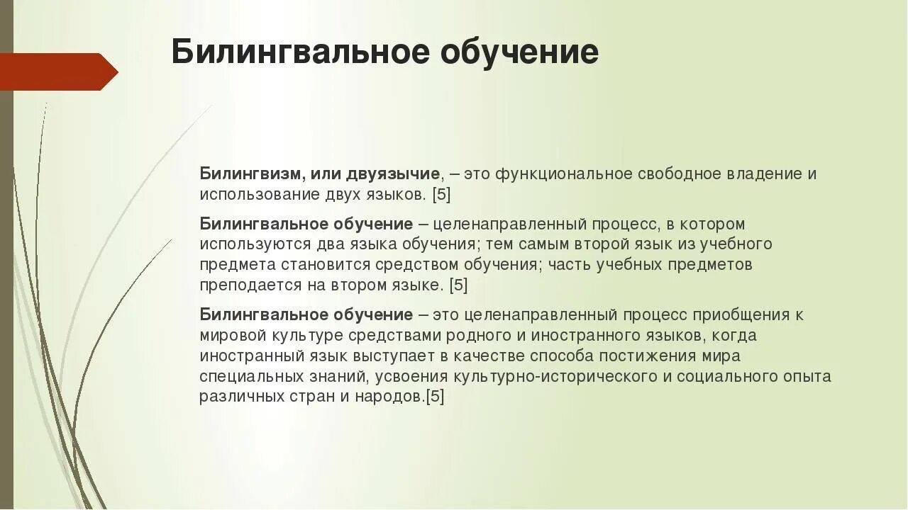 Билингвальный урок. Билингвальный урок