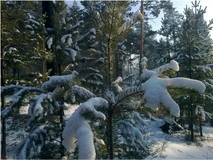 Под сказку сна