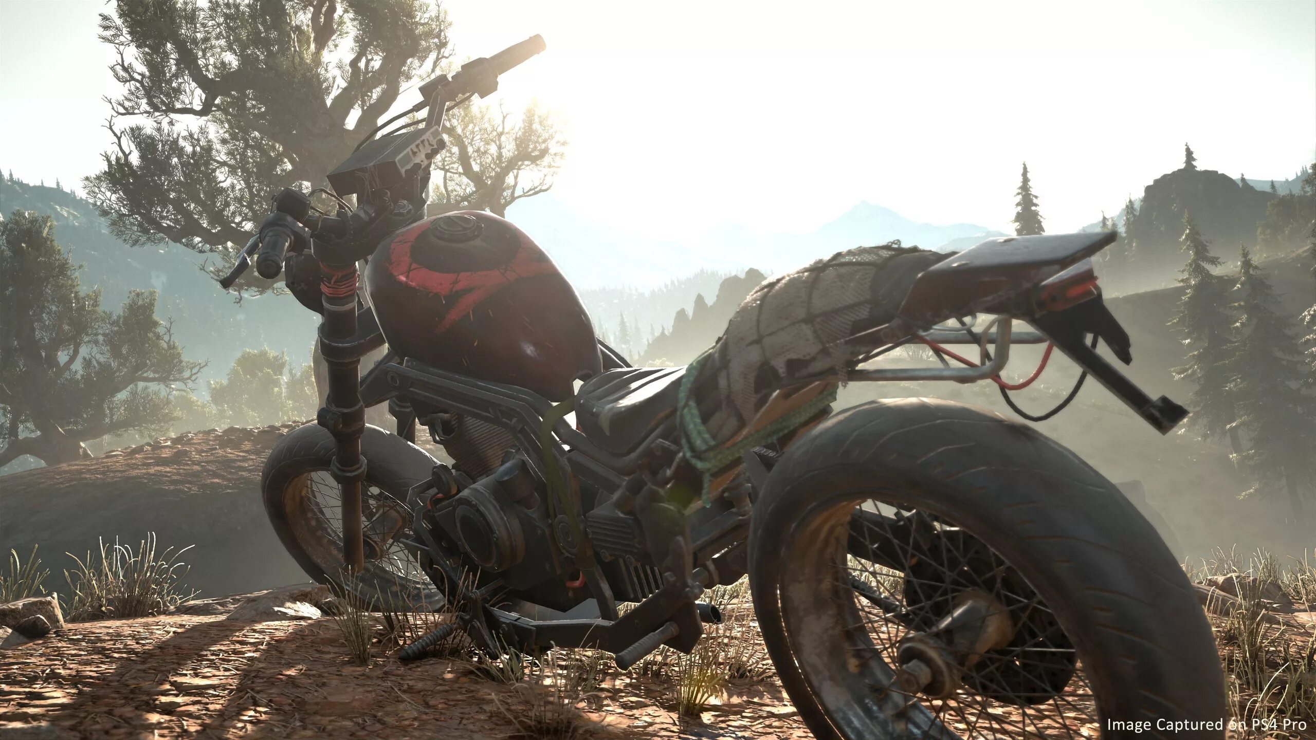 Days gone bike. Дейс Ган мотоцикл. Байк дейс Гон. Days gone байк. Days gone мотоцикл Дика.