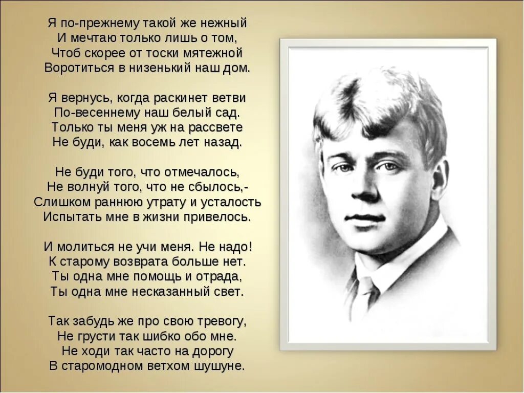 Самый нежный песня слушать. Стихи Сергея Есенина. Стихотворение Сергея Алексеевича Есенина. Хи Есенина.