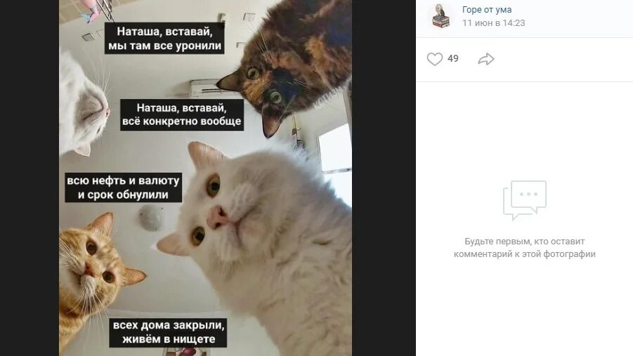 Там ничего не написано. Мемы с котами. Кошка Мем. Мемы про котов. Мемы с котами и Наташей.