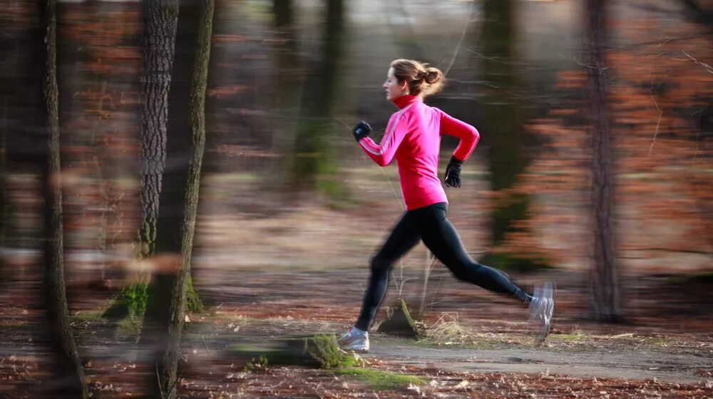 Fall run