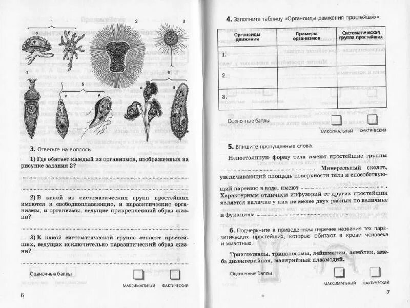 Тест организм 7 класс. Никишов биология. Биология. Организмы Никишов а.и.. Никишов задания по биологии.