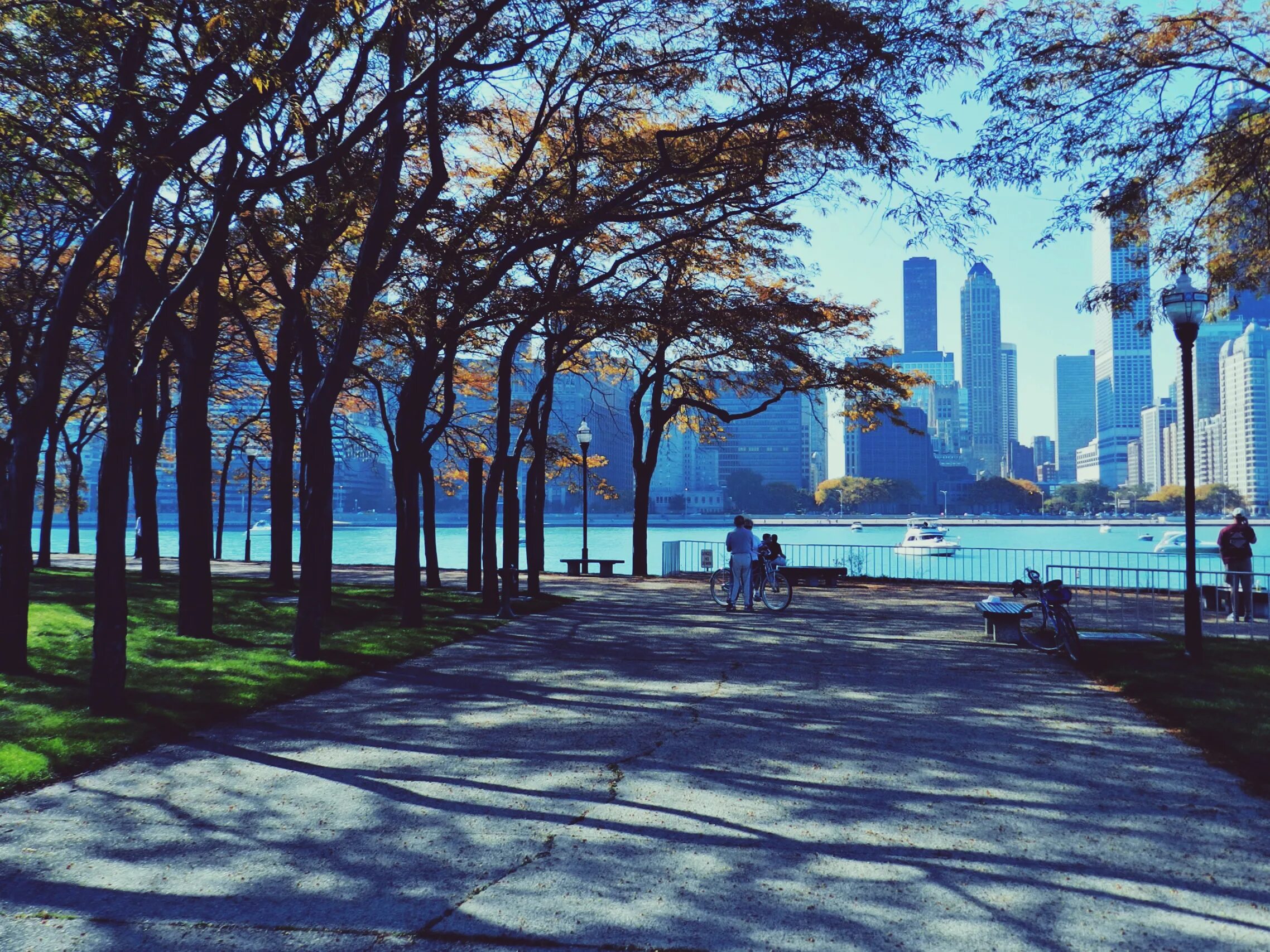 Городская природа и человек. Нью Йорк парк Эстетика. Парк в городе Чикаго. США Нью Йорк набережная. Чикаго Иллинойс пригород.