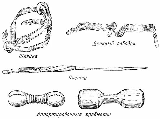 Спецснаряжение для служебных собак. Инвентарь для содержания служебных собак. Специальное снаряжение для собак. Инвентарь для дрессировки служебных собак. Какие предметы нужны для дрессировки