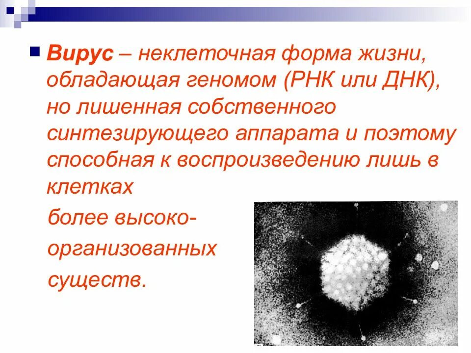 Почему вирусы неклеточные формы. Вирусы внеклеточная форма жизни. Вирусы это неклеточные формы жизни обладающие. Вирусы как неклеточная форма жизни. Сообщение вирусы неклеточная форма жизни.