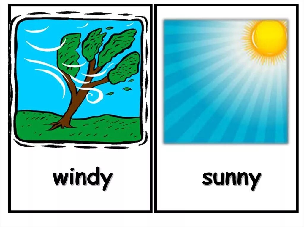 Weather Flashcards for Kids. Windy Flashcards. Карточки Sunny Windy. Картинка it's Windy.