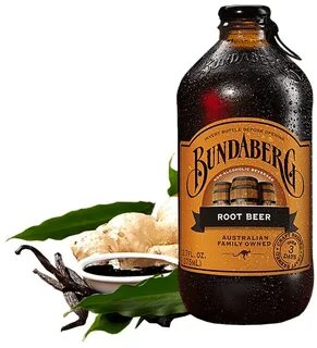 Sarsaparilla