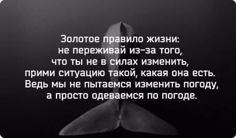 Что есть жизнь цитаты