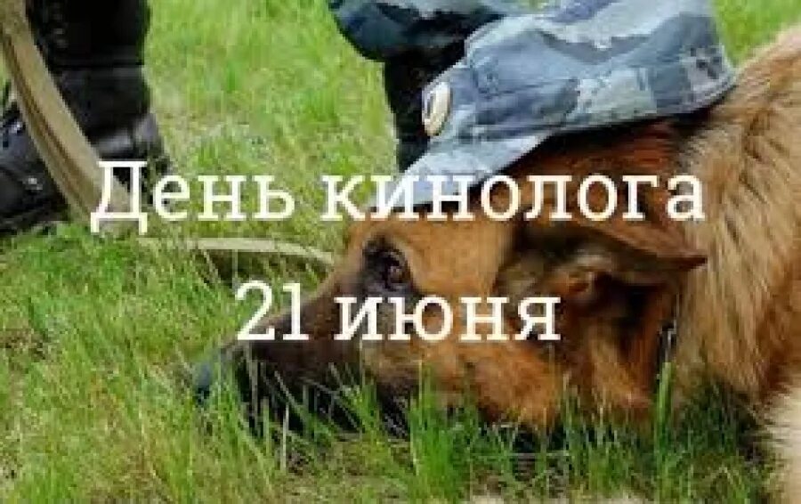 21 июня это. 21 июня день солнцестояния. Международный день цветов. Праздник солнцестояния у славян летом. День цветка.