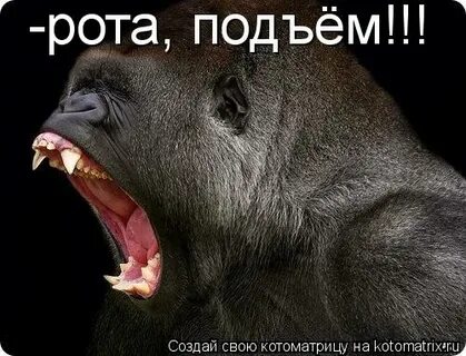 Рот подъем