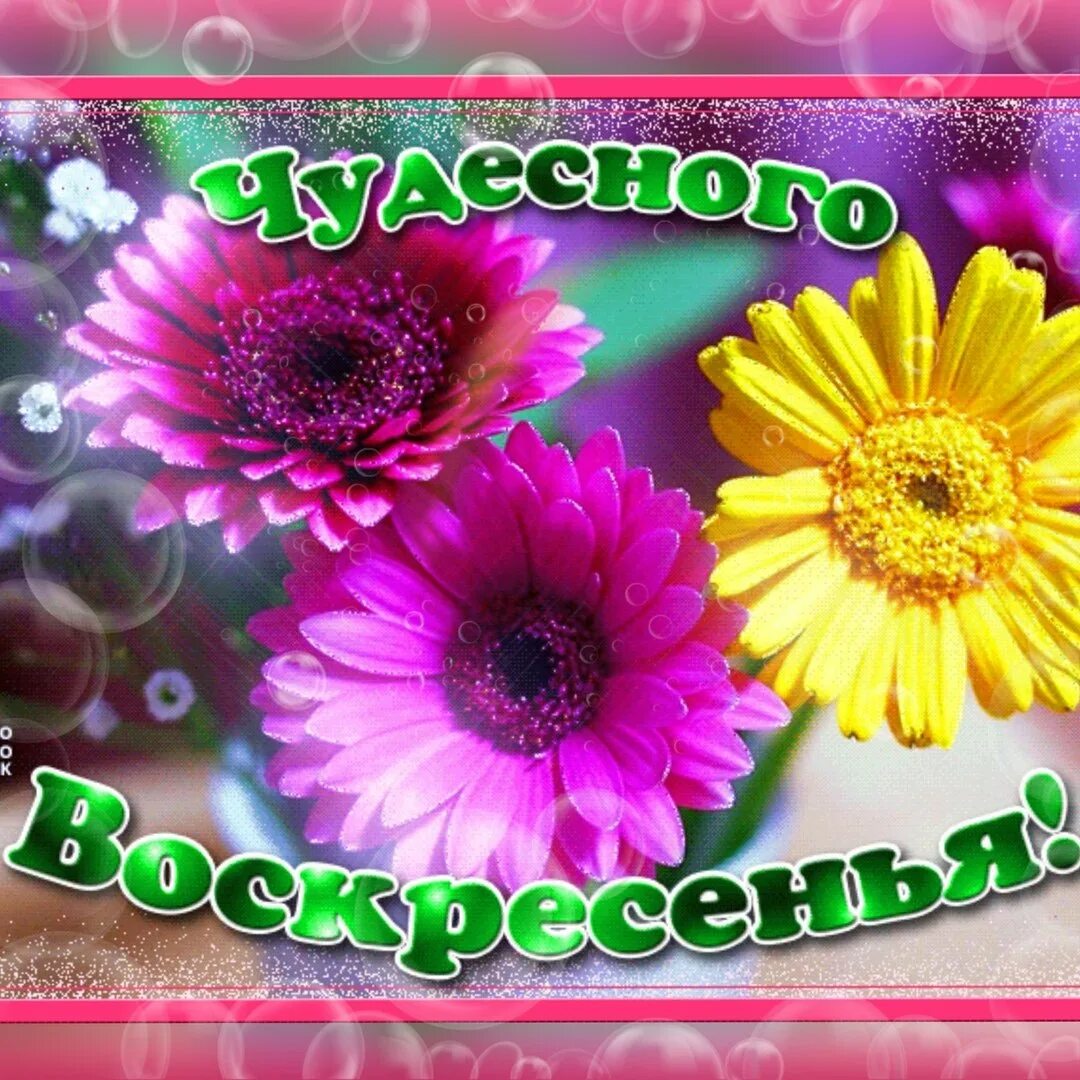 Чудесного воскресения картинки. Отличного воскресенья. Открытки чудесного дня. Отличного воскресного дня. Прекрасного воскресенья.