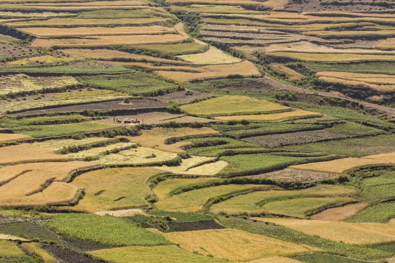 Земельные ресурсы венесуэлы. Земельные ресурсы. Земельные ресурсы Африки. Земельные ресурсы Эфиопии. Агроклиматические ресурсы Эфиопии.