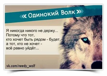 Одинокий волк песня слова