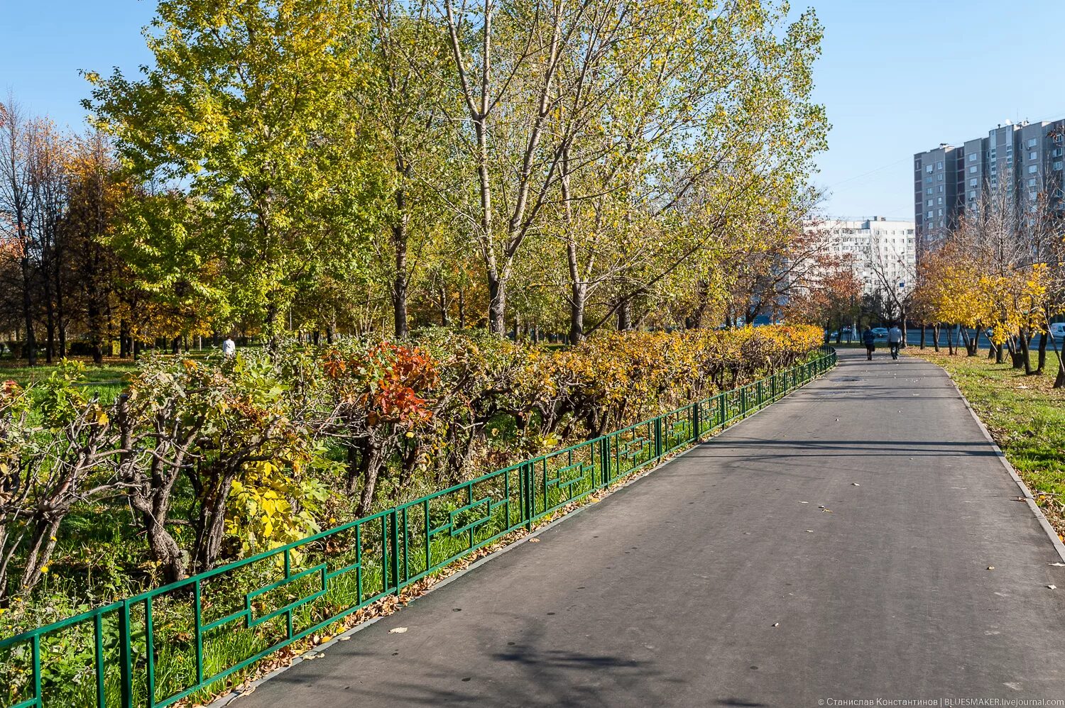 Сайт района отрадное