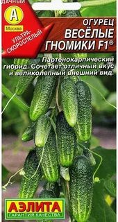 Огурцы ягуар f1 отзывы