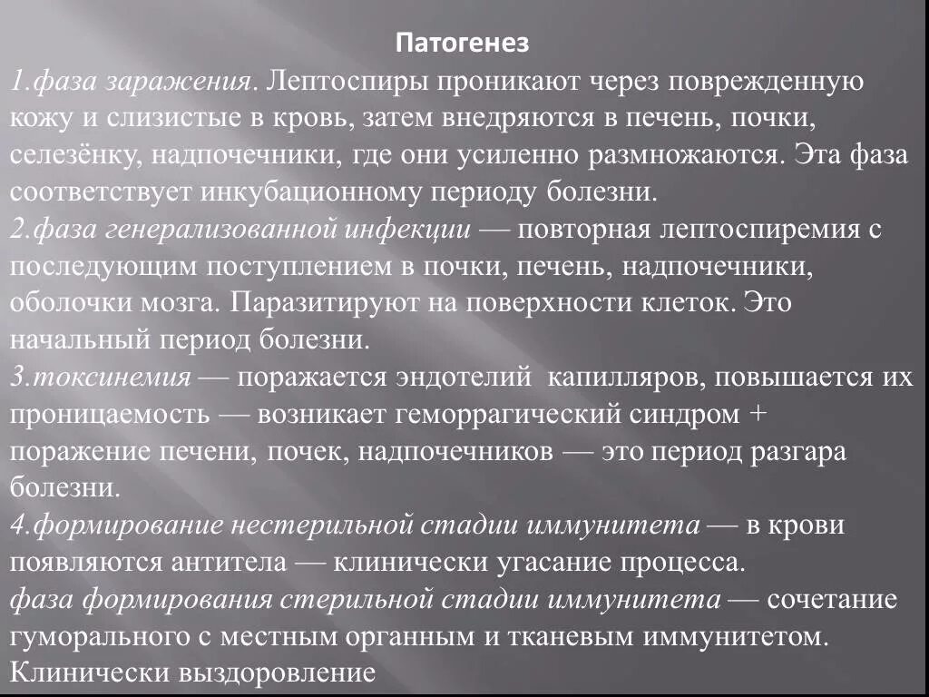 Лептоспиры патогенез. Фазы патогенеза лептоспироза. Лептоспиры этиология. Лептоспироз патогенез