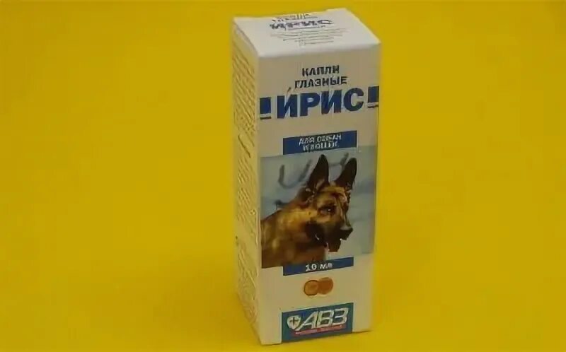 Аналог собакам