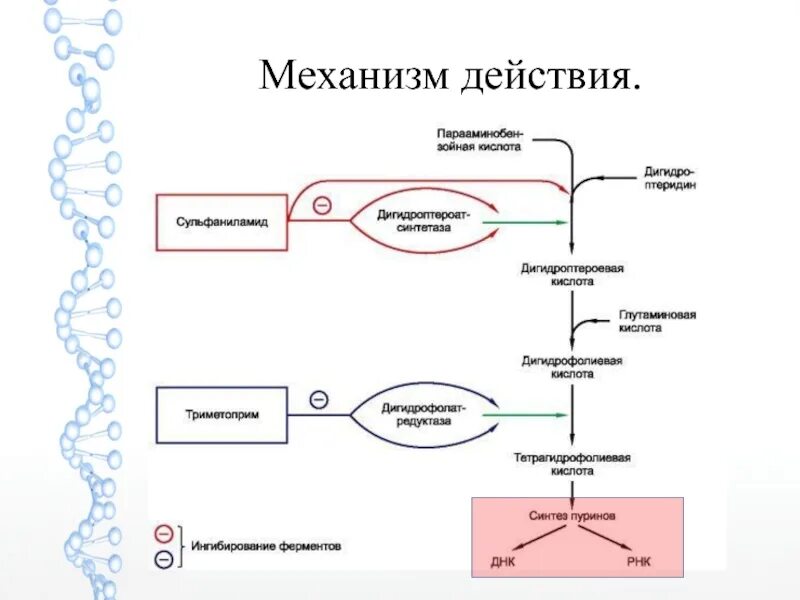 Противоглистные препараты механизм действия схема. Окситоцин механизм действия схема. Механизм действия в схемах. Фентанил механизм действия схема. Механизм кофеина