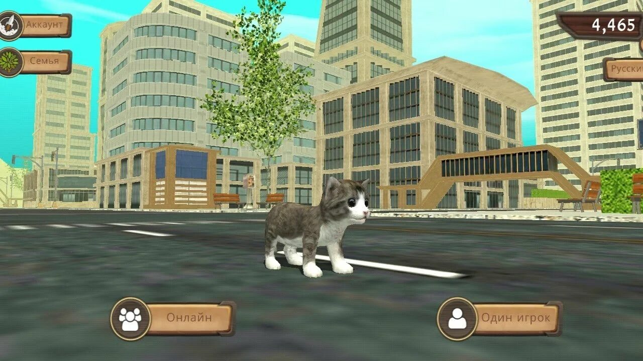 Catsim