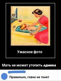 Алиса тебе вообще