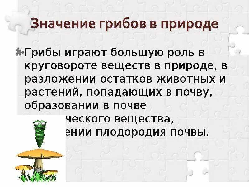 В круговороте веществ грибы играют роль. Роль грибов в природе. Роль грибов в круговороте веществ. Какую роль играют грибы в природе. Роль грибов в круговороте веществ в природе.