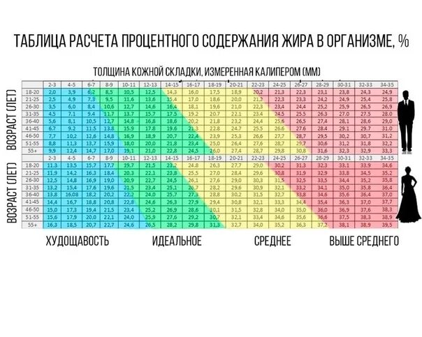 Таблица процентного содержания жира в организме человека. Ожирение процент жира. Процент жира у мужчин таблица. ИМТ И процент жира таблица. Содержание жира воды в организме