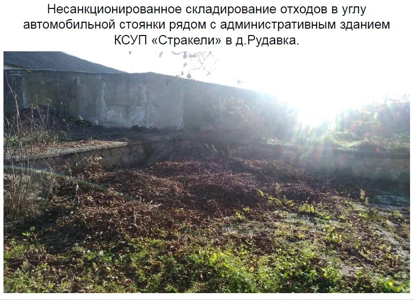 Несанкционированное складирование