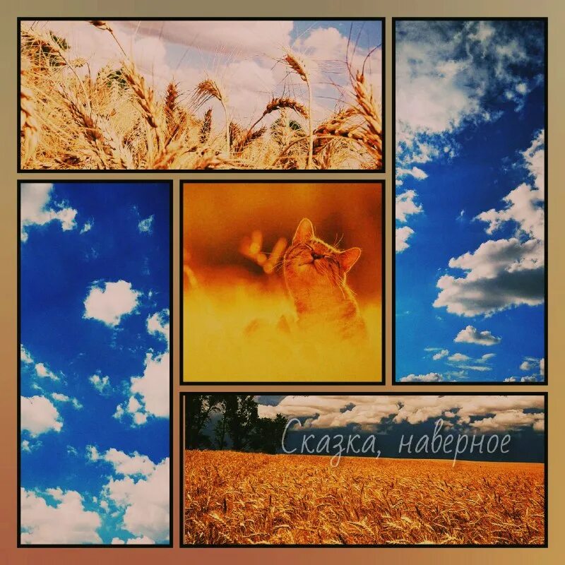 какой прекрасный день. какой чудесный день какой чудесный пень. какой чудесный день моя струится лень текст. тексты песен из мультфильмов. какой чудесный день моя струится лень текст.