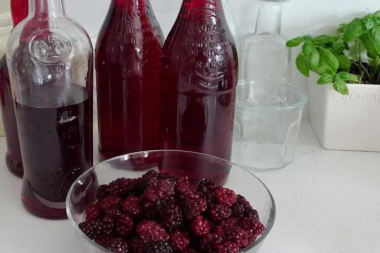 Куда использовать вино. Вино блэкберри ежевичное. ежевичное вино домашнее. вино из ежевики в домашних. вино домашние из ежевики.
