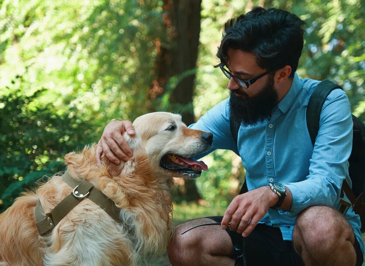 Cynologist. Golden Retriever boyfriend. Man on Dock with Dog.